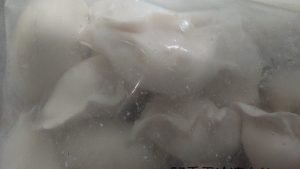 素食 全素